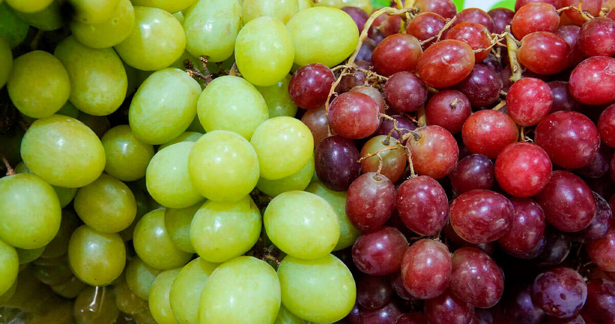 ¿Dónde comprar uvas baratas para cenar en Año Nuevo? Profeco publica LISTA de lugares