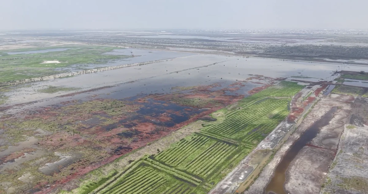VIDEO ¬ Tiburones inmobiliarios. Contaminación. El Lago de Texcoco nunca está en paz