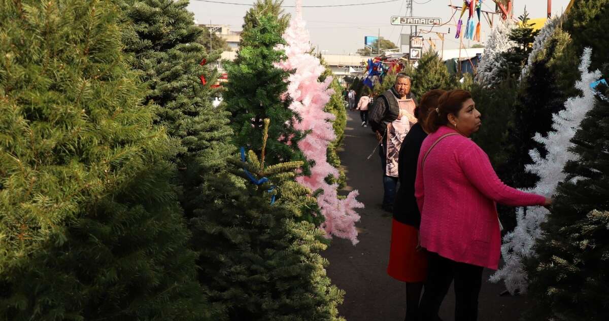 La CdMx llama a reciclar árboles de Navidad y ganar una planta. Aquí te decimos cómo