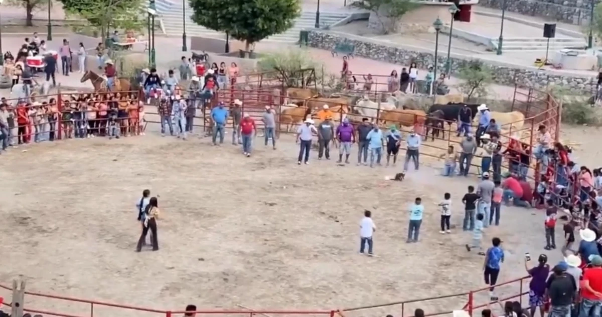 VIDEO FUERTE ¬ Pobladores realizan cruel práctica con gatos en fiesta de Guanajuato