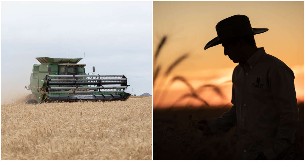 Grupo Bimbo supera su meta de hectáreas en agricultura regenerativa