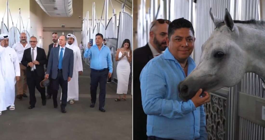 VIDEO ¬ SLP financia viaje del Gobernador Gallardo, fan de los caballos, a Qatar