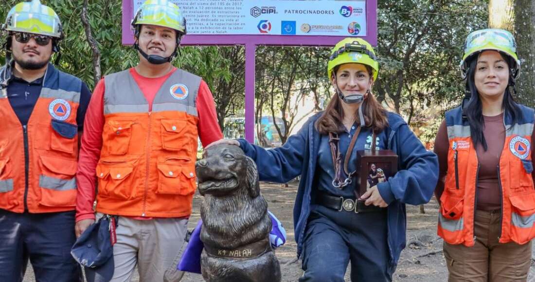 Nalaha, la perrita que salvó 12 vidas en los sismos de 2017, recibe homenaje póstumo