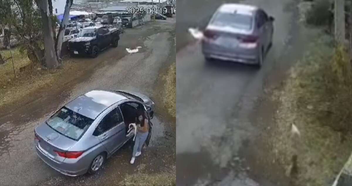 VIDEO ¬ Mujer deja a 2 perritos en calles de Puebla y ellos corren para alcanzarla