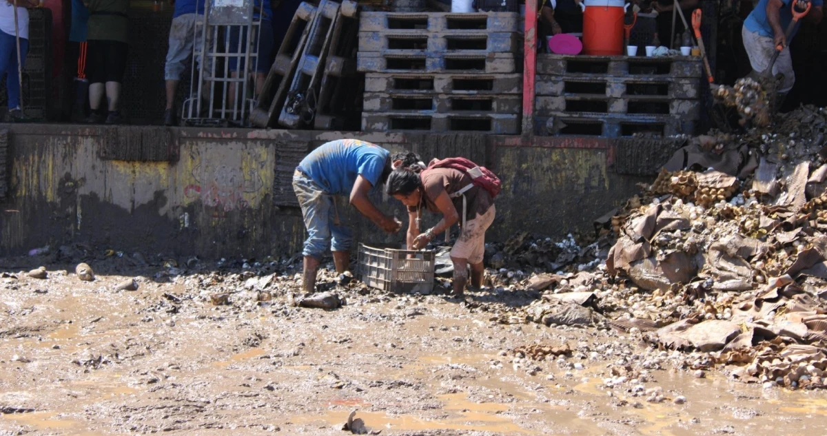 FOTOS y VIDEOS ¬ Los muertos por lluvias suben a 47. Sheinbaum visita a damnificados