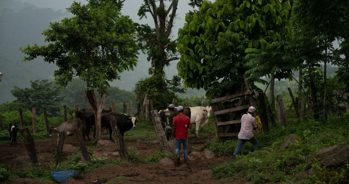 La actividad económica en México retrocedió 0.9% mensual y 1.2% anual en julio: Inegi
