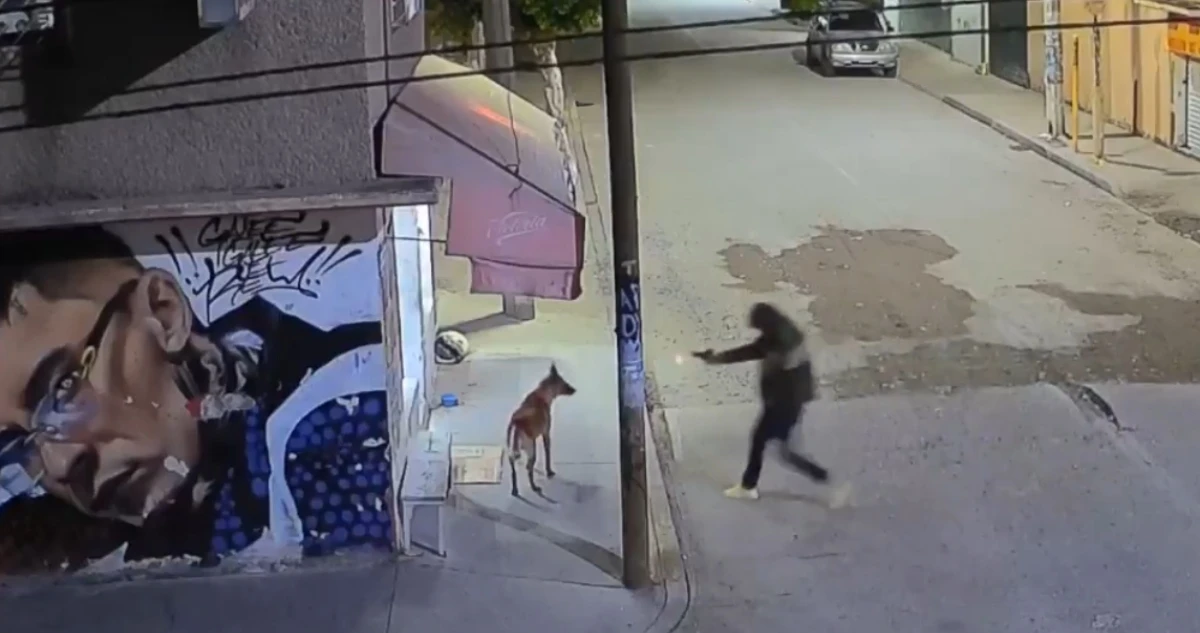 VIDEO FUERTE ¬ Hombre mata a perro en Ecatepec; tenía credencial de la FGJ-Edomex