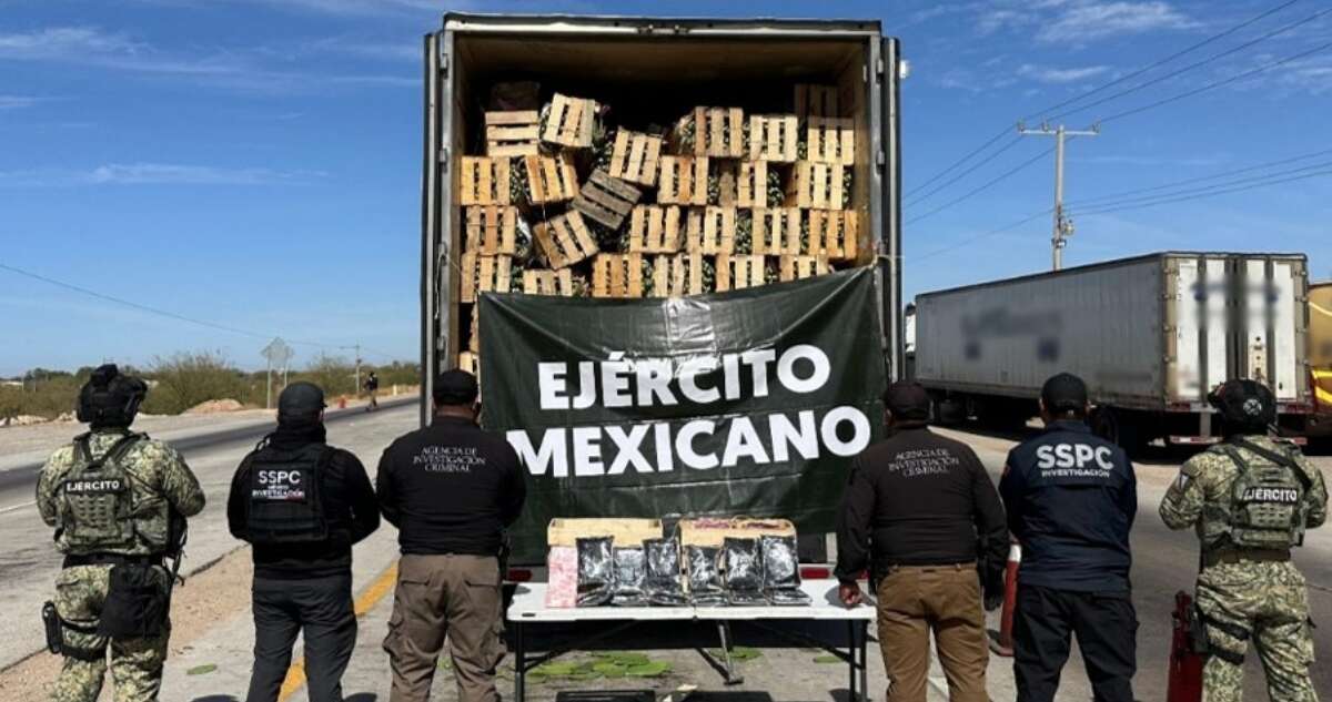 Fuerzas Armadas detienen a hombre que escondía 30 kilos de fentanilo entre nopales