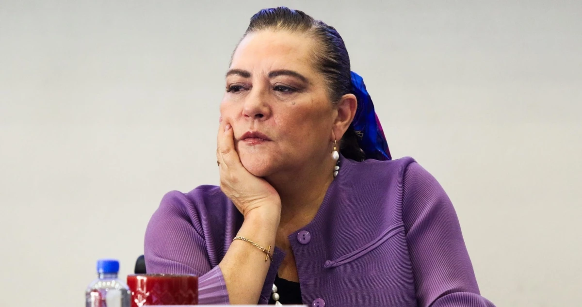 Campañas a no votar en la elección judicial preocupan al organismo, afirma Taddei