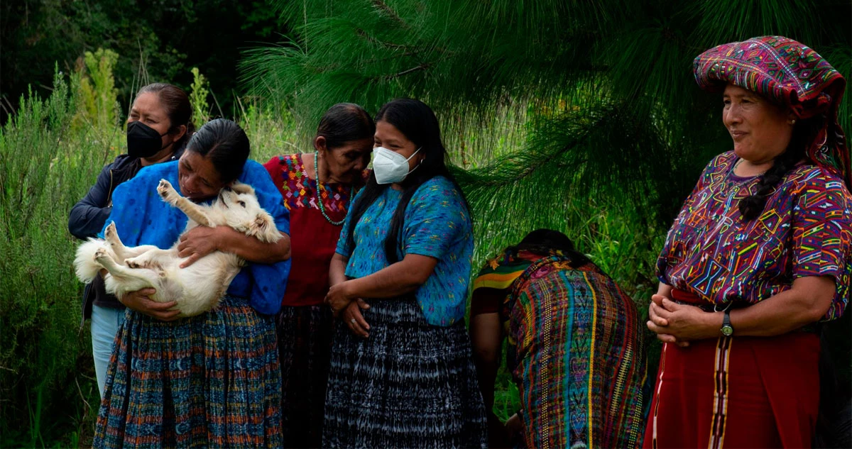 DATOS ¬ ¿Quiénes son los más pobres de México? Los indígenas y los afrodescendientes