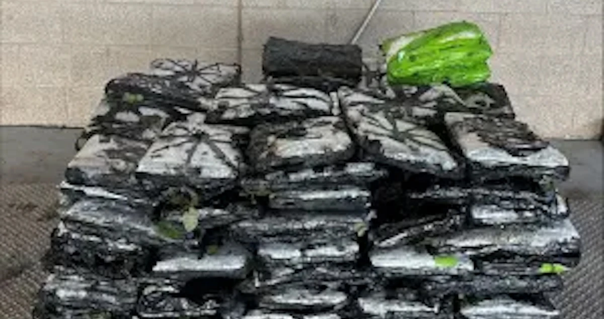 EU decomisa casi 400 kilos de metanfetamina oculta entre rosas en frontera con México