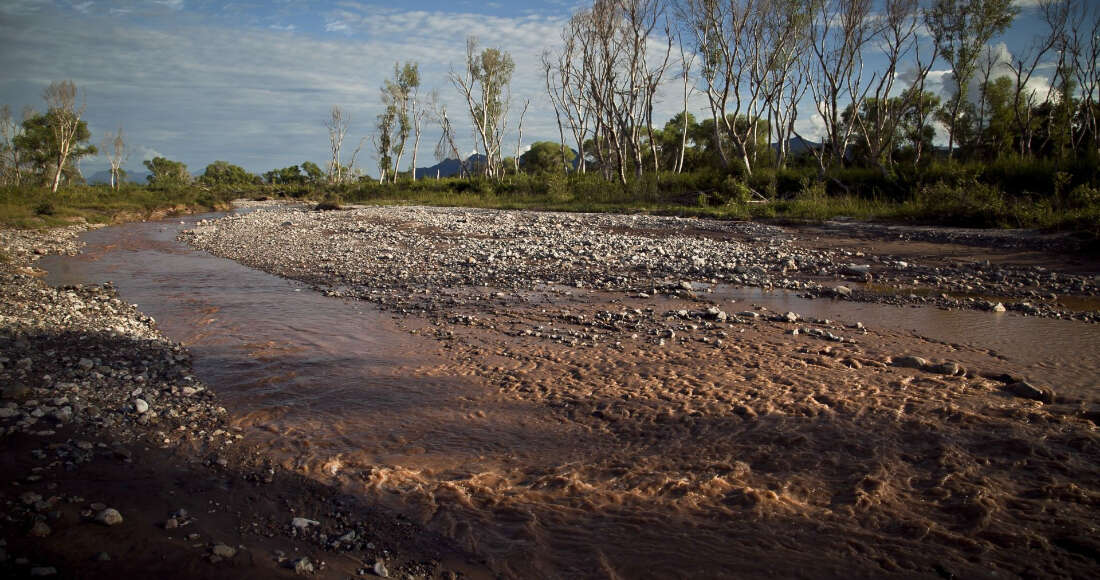 Germán Larrea envenenó el Río Sonora. Ahora se chupa el agua que quedó sin contaminar