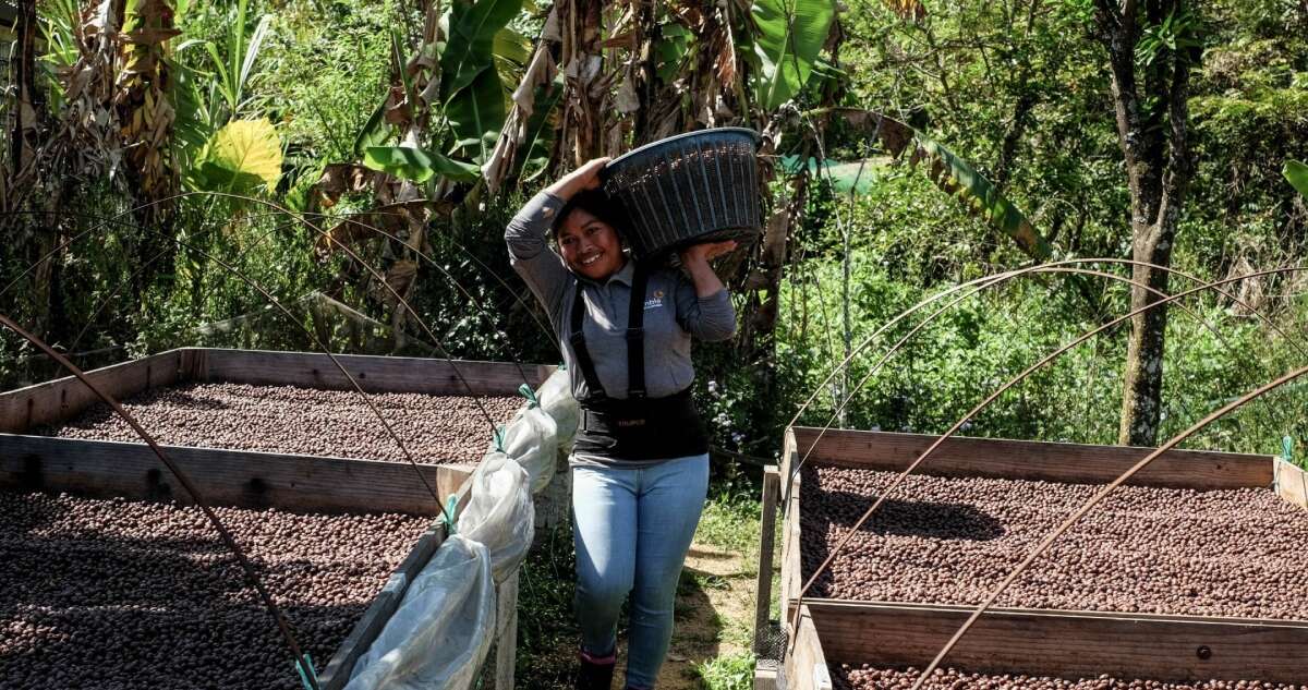 La actividad económica en México habría crecido 1.8% anual en enero, estima el Inegi