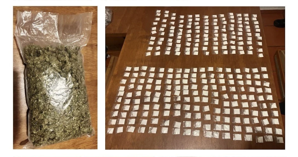 La SSC-CdMx asegura más de 500 mil dosis de droga tras cateos en Tlalpan y Coyoacán
