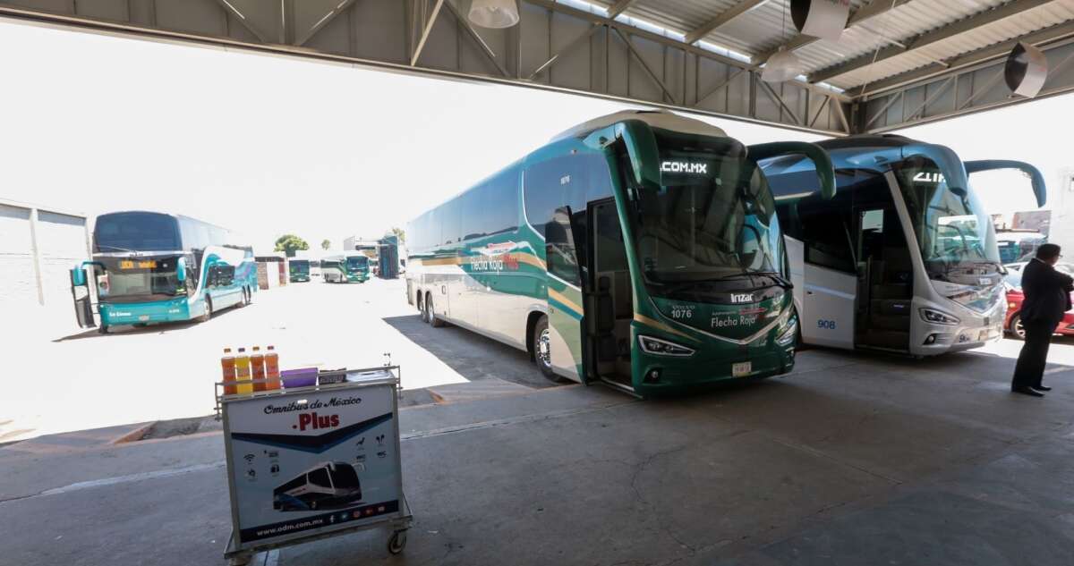 La SICT anuncia rebajas en transporte para estas vacaciones. ¿Cuál será su costo?