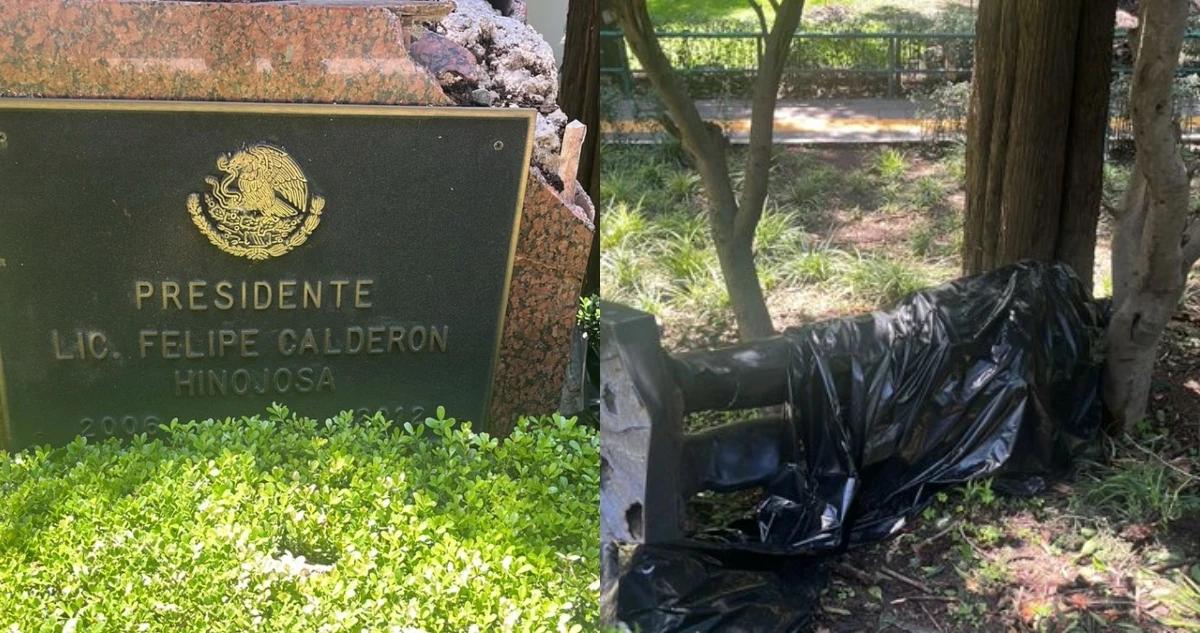 Árbol, que cayó por fuertes lluvias, tumba la estatua de Felipe Calderón en Los Pinos