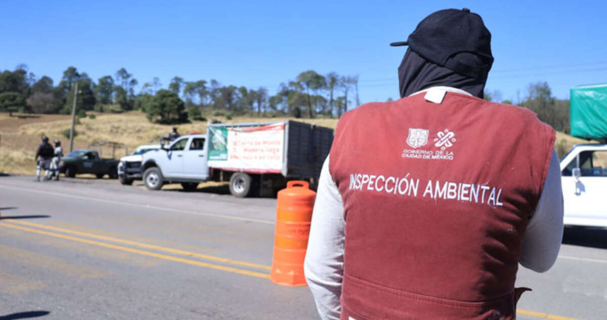 Las autoridades de CdMx aseguran madera y tierra de hoja durante operativo en Tlalpan