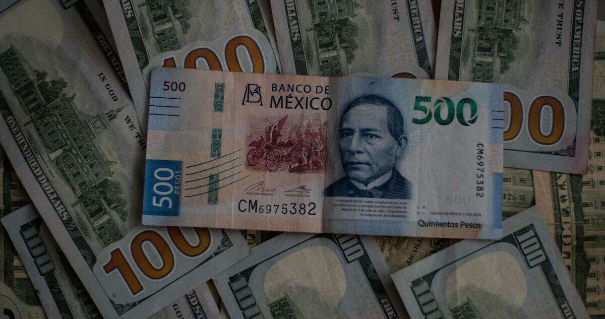 La moneda mexicana despide el 2024 con su peor caída desde 2008: -23% frente al dólar