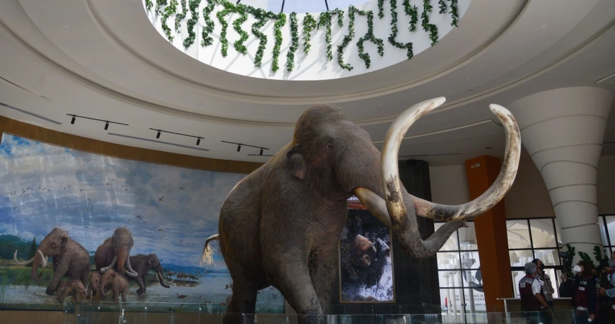 El INAH y la UNAM revelan la existencia de un linaje de mamut hasta ahora desconocido