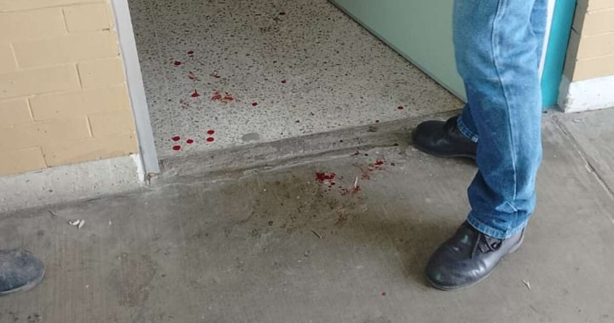 Un alumno apuñala a su profesor dentro del CCH Naucalpan; lo trasladan a Barrientos