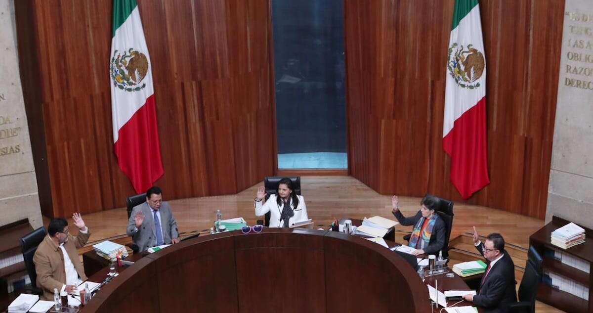 TEPJF ordena a comités de Ejecutivo y Legislativo incluir a 18 rechazados en elección