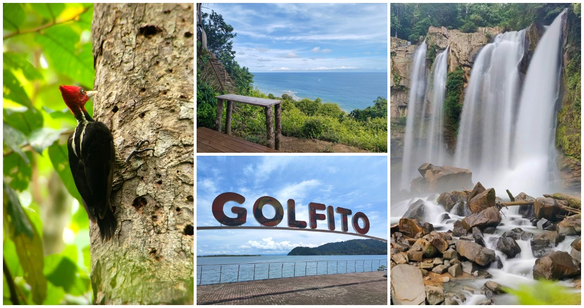 Golfo Dulce, Golfito... Puntos imperdibles en la zona del Pacífico Sur de Costa Rica