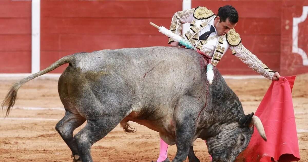 VIDEO FUERTE ¬ Emilio Macías sufre grave cornada en Tlaxcala; lo operan de emergencia