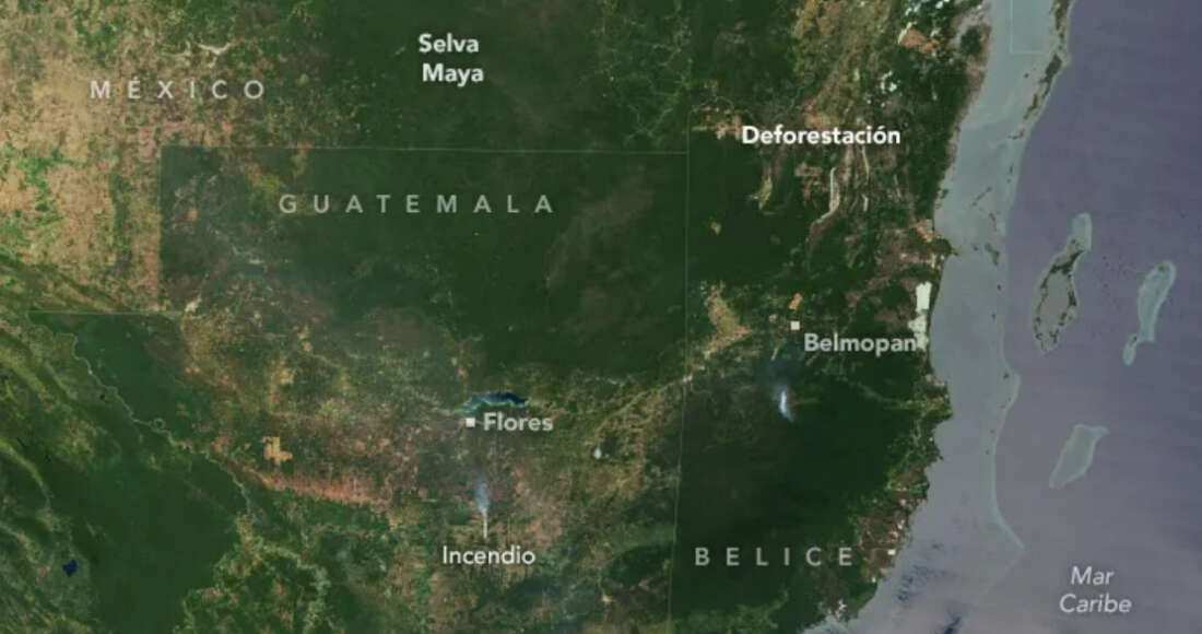 La expansión ganadera y la palma aceitera ponen en riesgo el pulmón de Mesoamérica