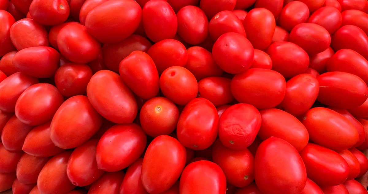 EU anuncia arancel de 17% al tomate proveniente de México; acusa comercio desleal