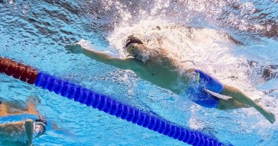 Pływanie. Kieran Perkins szefem australijskiego związku