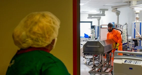 Epidemia w Polsce. Najwięcej zakażeń na Śląsku, najmniej w Lubuskiem