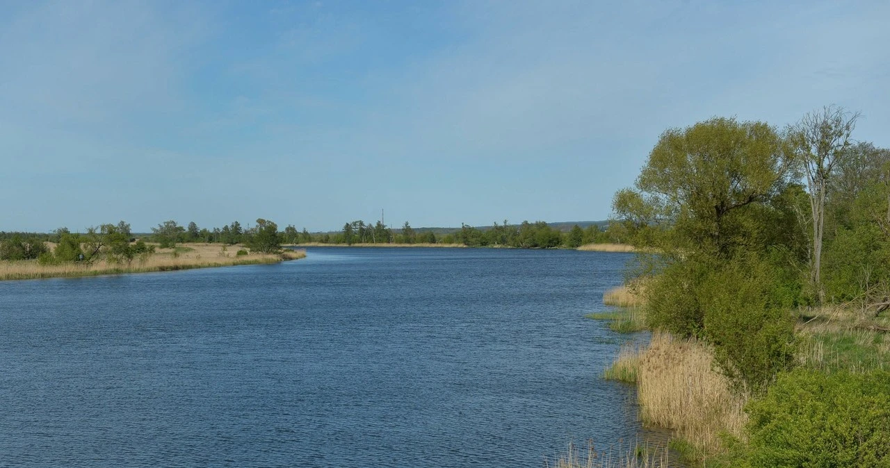 Dolina Dolnej Odry. Z 240 gatunkami ptaków i 460 gatunkami roślin