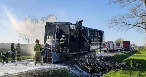 Fotoprzestroga. Pożar i śmierć kierowcy