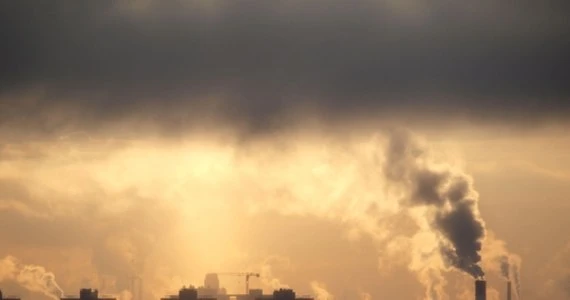 Neutralność klimatyczna w Unii Europejskiej. Przegłosowano datę
