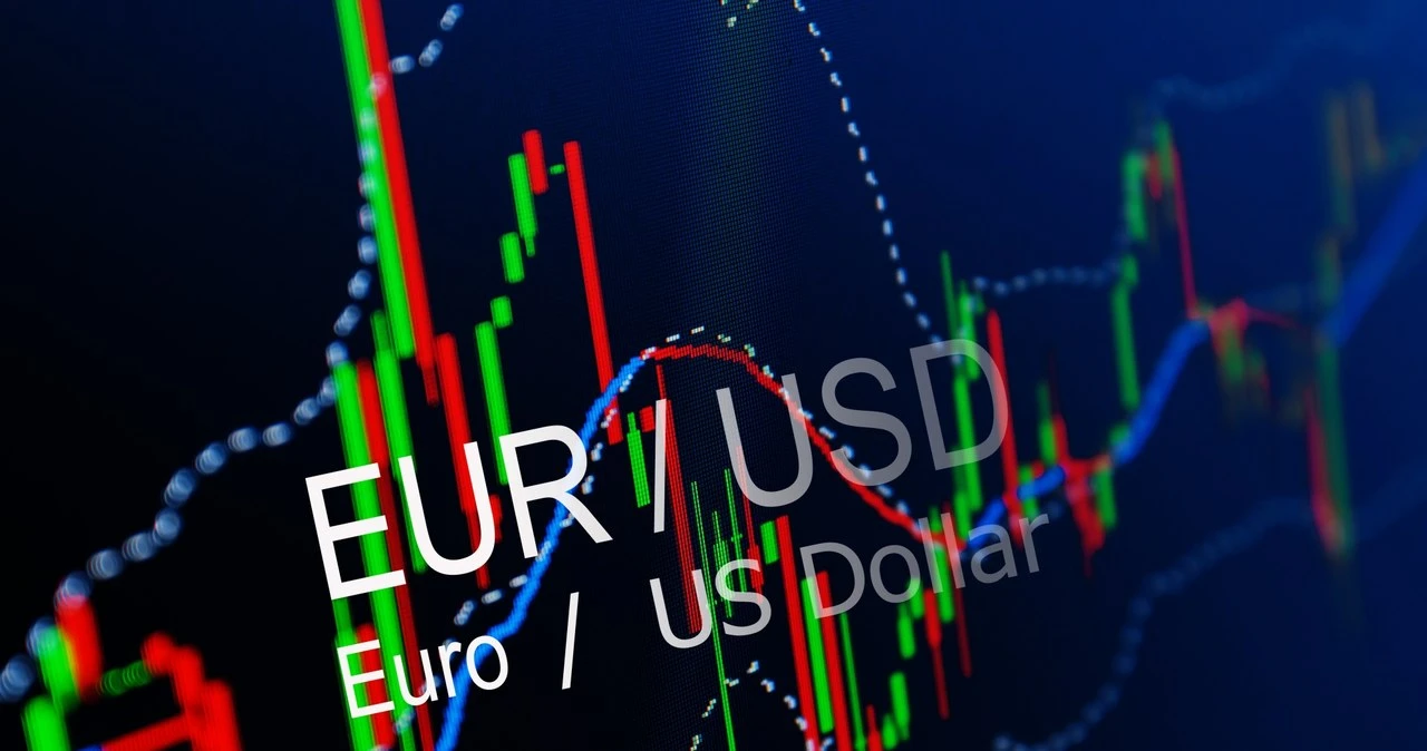 Kursy walut. Ile zapłacisz za dolara, euro i fanka we wtorek, 15.04.2025?