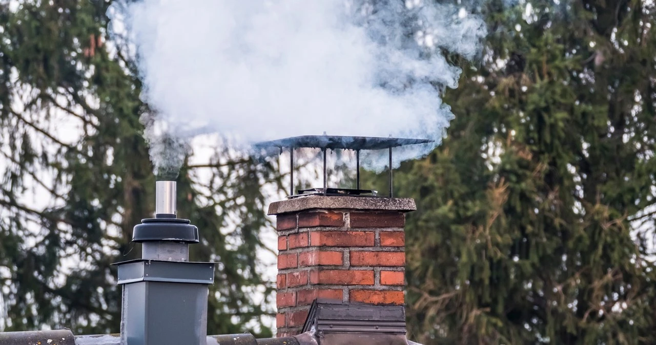 Robili pokazy garnków, mają nowy biznes. 