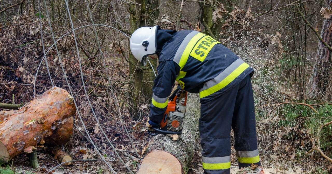 Masowa awaria, 32 tys. odbiorców bez prądu. 