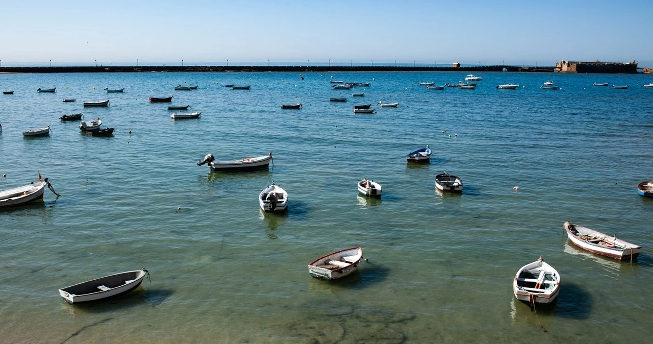 Azjatyckie algi na plażach Hiszpanii. Kolonizują całe wybrzeże