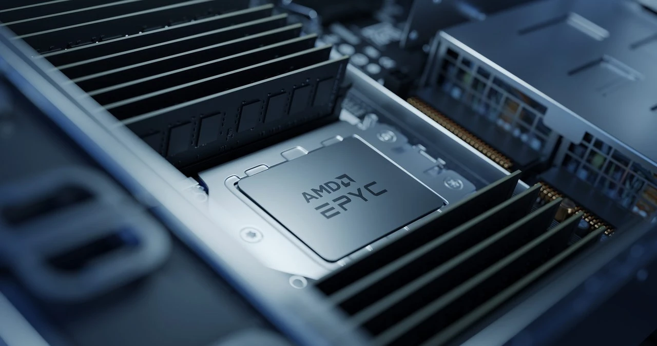 Platige Image od 2017 roku pogłębia współpracę sprzętową z AMD