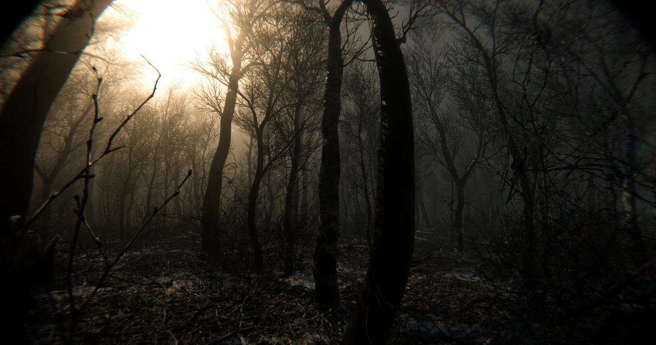 Digested – nadchodzi horror w stylu 