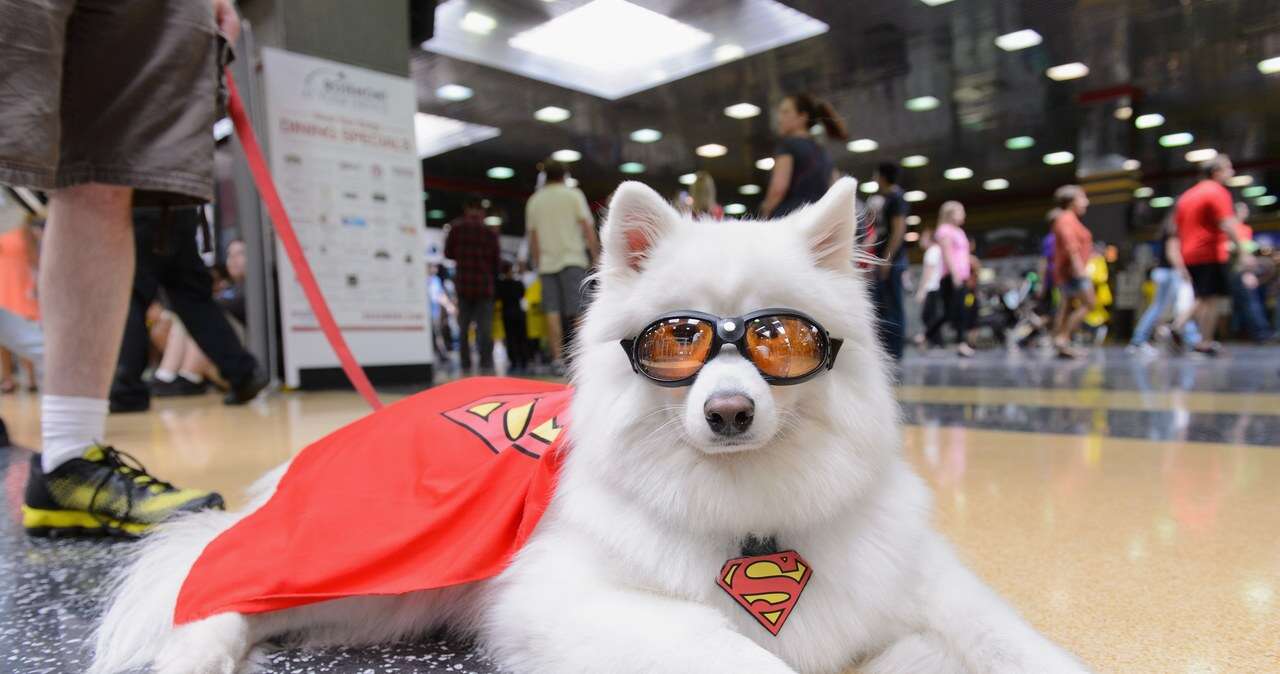 Superbohater i jego pies. Krypto dołączy do Supermana