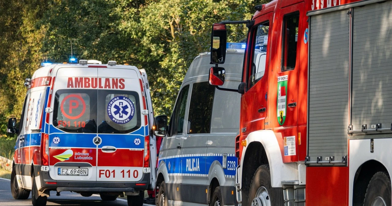 Był jednym z najbogatszych Norwegów. Zginął w wypadku na polskiej drodze