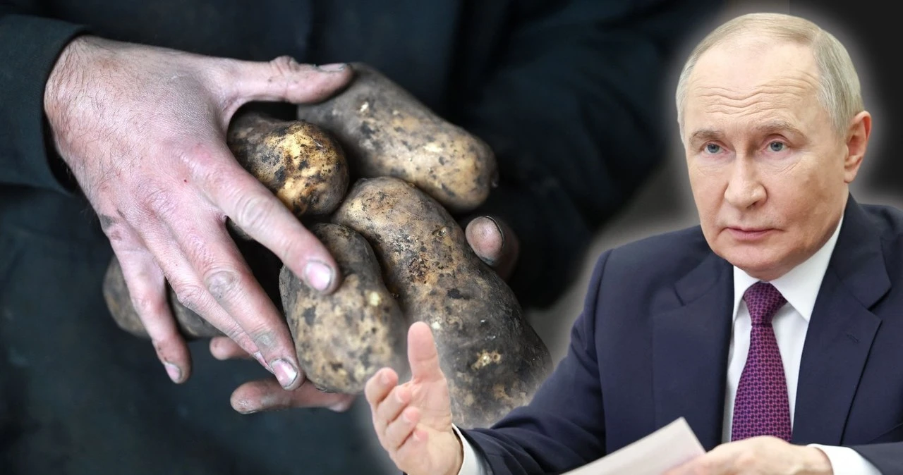 Rosyjski ziemniak w cenie luksusu. Ziemniaczane eldorado to już przeszłość