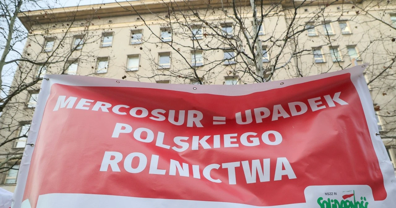 Polska może skorzystać na umowie z Mercosurem? 