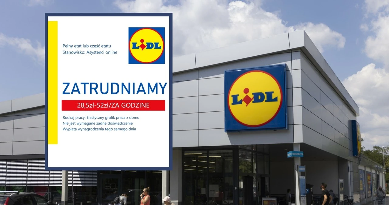 Praca zdalna w Lidlu z pensją codziennie? Sieć wydaje ważny komunikat: To oszustwo