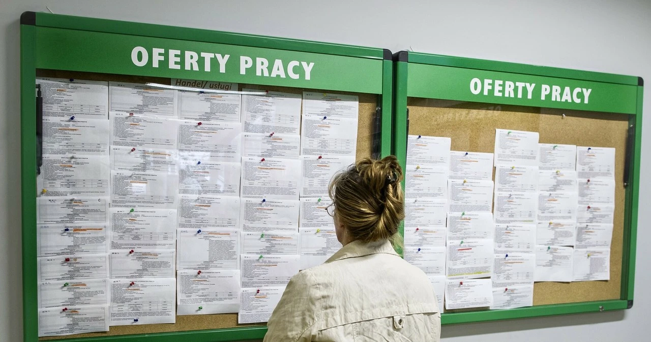 Specjalistów z tej branży poszukują teraz w Szwajcarii. Płacą 150 zł na godzinę