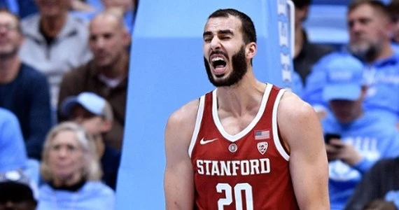 Energa Basket Liga. Josh Sharma zawodnikiem Pszczółki Startu Lublin