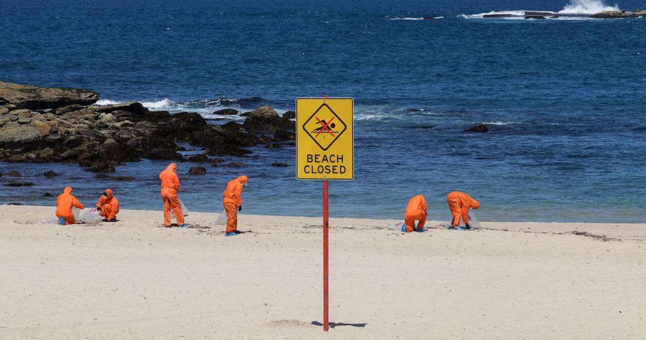 Tajemnicze czarne kule na plaży w Sydney. 