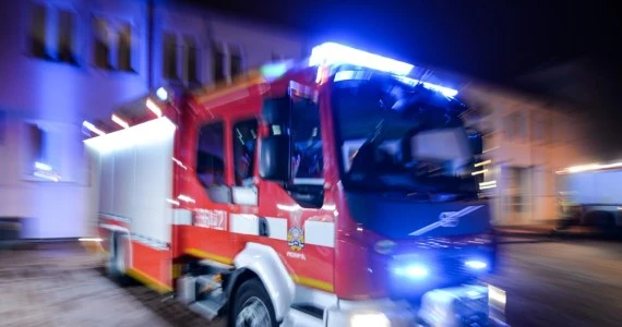 Lubelskie: Zderzenie z łosiem. Motocyklista nie żyje, 10-latka w stanie ciężkim
