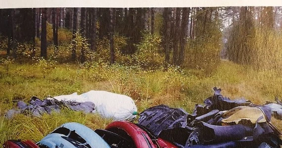 Las pełen... części samochodowych